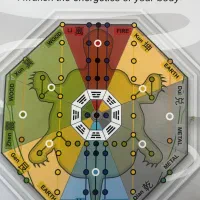 راهنمایی میخام برای سرمایه.گذار