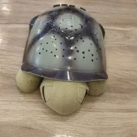 چراغ خواب شلمن