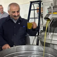 روغن زیتون اصل گیل مزه|خوردنی و آشامیدنی|رشت, استقامت ۱|دیوار