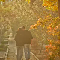 دستیار عکاس