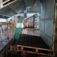 کارگاه کشمش پاک کنی