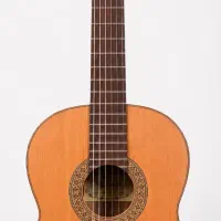 گیتار دالاهو اورجینال چوب