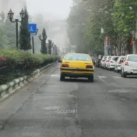 بر اصلی ولیعصر منظریه ۱۴ متر مغازه