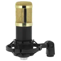 میکروفن professional