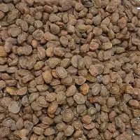 الو بخارا طبیعی بوانات|خوردنی و آشامیدنی|شیراز, کوشک میدان|دیوار