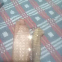 چاقو شکاری تیغه فولادی کار دست|کوهنوردی و کمپینگ|ری, سیزده آبان|دیوار