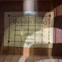 گیتار کلاسیک کاتوی پیکاپدار آیبانز GA5ce|گیتار، بیس، امپلیفایر|تهران, جردن|دیوار