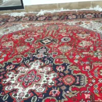 فرش طبیعی|فرش|خوی, |دیوار