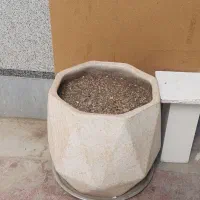 گلدان سایز بزرگ