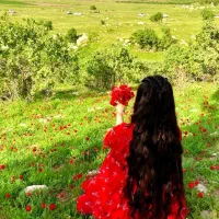 خرید و فروش مو