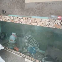 اکواریوم|ماهی|نیشابور, ده حلاج|دیوار