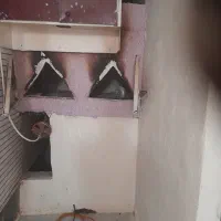 سوئیت همکف تمیز همراباگاراژ مستقل|اجارهٔ کوتاهمدت آپارتمان و سوئیت|کرمان, |دیوار