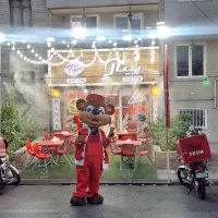 عروسک تن پوش ، عروسک گردان