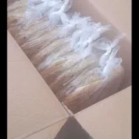 فروش نان خشک وترد