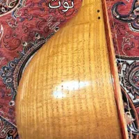 سه تار یک تکه توت هادی لک