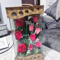 گل نو