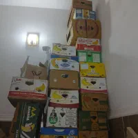 کارتن موزی