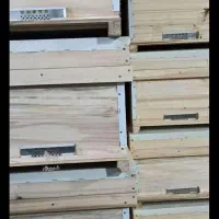 کندوی زنبور عسل