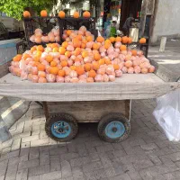 چرخ تافی بادی