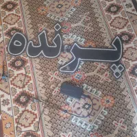 پایه قفس جوجه پرون تابلو ال ای دی پرنده قفس مسافرت