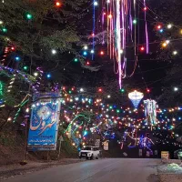 نیروی ساده|استخدام خدمات فروشگاه و رستوران|قم, زنبیل آباد|دیوار