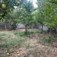 فروش۴۱۰متر باغ زمین انشعابات+سندتکبرگ دماوند جابان