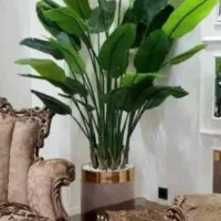باباادم درخت چه|گل مصنوعی|تهران, مشیریه|دیوار