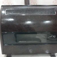 بخاری ۱۰ هزار ادنیس