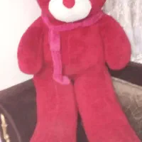 خرس یک و نیم متری درحدنو