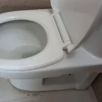 دستشویی فرهنگی
