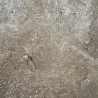 نیازمند چوبان