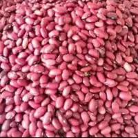 فروش عمده لوبیا