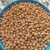 نخود کرمانشاه ۸۰۰ کیلو