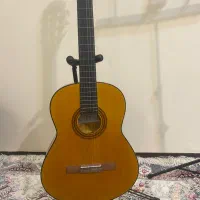 گیتار|گیتار، بیس، امپلیفایر|تهران, تهرانپارس غربی|دیوار