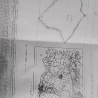 اجاره زمین  کشاورزی دیم جهت کشت نخود