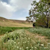 فروش وام ۴ درصد