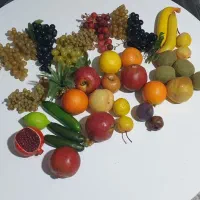 میوه مصنوعی|گل مصنوعی|شهریار, شهرک وائین|دیوار