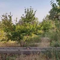 فروش باغ ۵۶۰۰ متری|فروش دفتر صنعتی، کشاورزی، تجاری|یاسوج, |دیوار