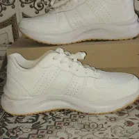 کفش اسپورت|کیف، کفش، کمربند|باوی, |دیوار