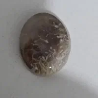 عقیق شجر|جواهرات|سنقر, |دیوار