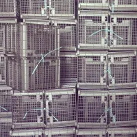 کارگر ساده نیازمندیم