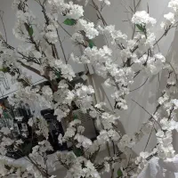 درختچه شکوفه سفید مصنوعی نو|گل مصنوعی|تهران, پاسداران|دیوار