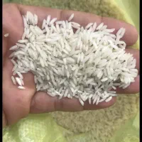 فروش برنج عنبر بو شیروانلومار