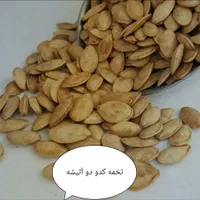 فروش تخمه بصورت جز و عمده|خوردنی و آشامیدنی|رشت, فرزانه|دیوار