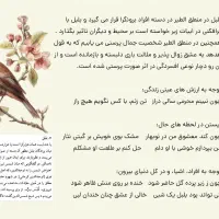 انجام سریع خدمات اینترنتی با پشتیبانی واتساپ|خدمات رایانهای و موبایل|بوشهر, |دیوار