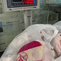 مرغ گرم عمده