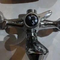 شیر دو قلو حمام و شیر آتش نشانی