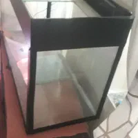 آکواریوم.|ماهی|خرمآباد, |دیوار