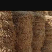 رول پوشال برنج