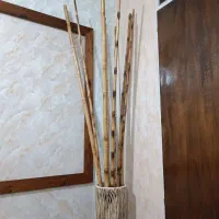 چوب بامبو